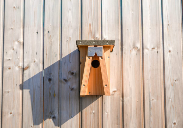 Autre vue sur abri de protection pour lérot fabriqué par notre organisation, présenté sur l'image.
